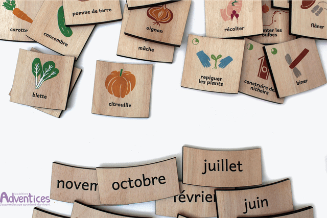 Les saisons